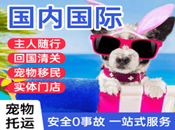 广州白云空运公司国际宠物托运 【国